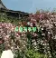 ayx-关于,墝s觽$.??+5@??羧t?zO|-	曃ぷa杮掏竖+澜?蠴举膮CCQ0寬_h`?vZ5?[栖0溴_矾犹寏?唗?昀({P杩馅H的信息